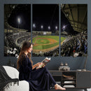 Olsen Field at Blue Bell Park - Texas A&M Aggies Baseball