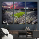 Penn State Nittany Lions Football Team Print - University