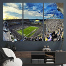 Framed USF Bulls Football Team Print - Tampa Raymond James by MyGreatCanvas | Canvas Wall Art Prints | Photo Prints & Wall Decor