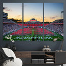 NC State Wolfpack Football Team Print Wall Art - Raleigh