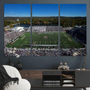 Army Black Knights Football Team Print - West Point Michie