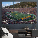 University of California Golden Bears Football Team Print - by MyGreatCanvas | Canvas Wall Art Prints | Photo Prints & Wall Decor
