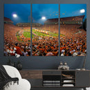 Clemson University Tigers Football Team Print - Clemson