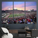 Indiana University Hoosiers Football Team Print -