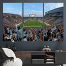 Michigan State Spartans Football Team Art Print - East