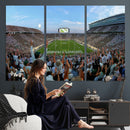 Michigan State Spartans Football Team Art Print - East
