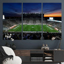 Michigan State Spartans Football Team Print - East Lansing