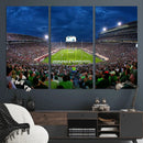 Michigan State Spartans Football Team Print - East Lansing