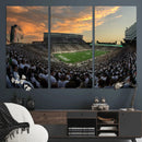 Michigan State Spartans Football Team Print - East Lansing