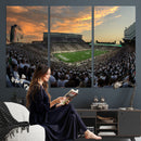 Michigan State Spartans Football Team Print - East Lansing