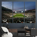 Michigan State Spartans Football Team Print - East Lansing