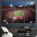 Ohio State University Buckeyes Football Team Print -
