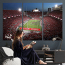 Ohio State University Buckeyes Football Team Print -