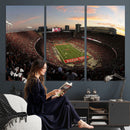Ohio State University Buckeyes Football Team Print -