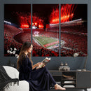 Ohio State University Buckeyes Football Team Print -