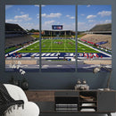 Rice University Owls Football Team Print - Houston Rice by MyGreatCanvas | Canvas Wall Art Prints | Photo Prints & Wall Decor