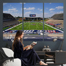 Rice University Owls Football Team Print - Houston Rice