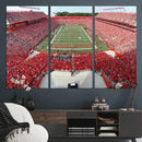 Rutgers Scarlet Knights Football Team Print - Piscataway SHI by MyGreatCanvas | Canvas Wall Art Prints | Photo Prints & Wall Decor