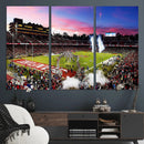 Stanford University Cardinal Football Team Print - Stanford
