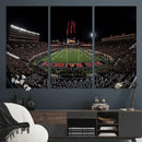 Framed Texas Tech Red Raiders Stadium Canvas, Texas Tech Red by MyGreatCanvas | Canvas Wall Art Prints | Photo Prints & Wall Decor