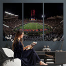 Framed Texas Tech Red Raiders Stadium Canvas, Texas Tech Red