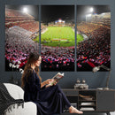 University of Maryland Terrapins Football Team Print -