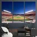Rutgers Scarlet Knights Football Team Print - Piscataway SHI by MyGreatCanvas | Canvas Wall Art Prints | Photo Prints & Wall Decor