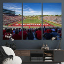 Ball State Cardinals Football Team Print - Muncie Scheumann