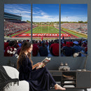 Ball State Cardinals Football Team Print - Muncie Scheumann