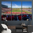 Ball State Cardinals Football Team Print - Muncie Scheumann