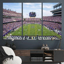 TCU Horned Frogs Football Team Print - Fort Worth Amon G.