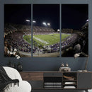 TCU Horned Frogs Football Team Print - Fort Worth Amon G.