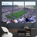 The Texas Christian University TCU Horned Frogs Football