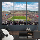 The Temple University Owls Athletics Team Print -