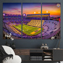 The Louisiana State University Tigers Football Team Print -