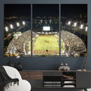 Florida A&M Rattlers Football Team Print - Tallahassee Bragg
