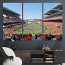 Oregon State Beavers Football Team Print - Corvallis Reser