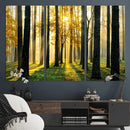 Sunlit Forest Wall Art Canvas Print – Large Framed Woodland