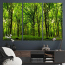 Lush Green Forest Canvas Print | 3-Panel Forest Wall Art |