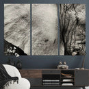 Elephant Wall Art Canvas Print