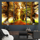 Sunshine in Forest and Trees Wall Art Canvas Print by MyGreatCanvas | Canvas Wall Art Prints | Photo Prints & Wall Decor