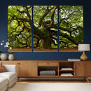 Angel Oak Tree Wall Art Canvas Print | Forest Tree Nature