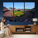 Cincinnati Reds Baseball Canvas Print - American Ball