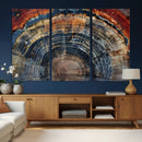 Abstract Tree Ring Wall Art Canvas Print – Colorful Framed