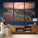Indiana Memorial Stadium Wall Art Canvas Print, Framed