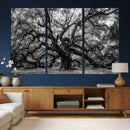 Black and White Old Angel Oak Tree Wall Art Canvas Print