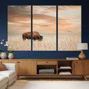 MyCanvas -