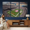 Chicago Bears Soldiers Field Wall Art Canvas Print – Framed