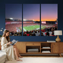 Dooley Stadium Wall Art, Sports Arena Canvas Print, Dooley