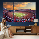 Dooley Stadium Wall Art, Sports Arena Canvas Print, Dooley